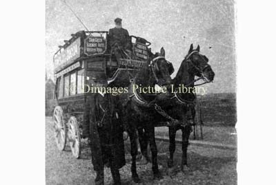 BW0021-horsebus109